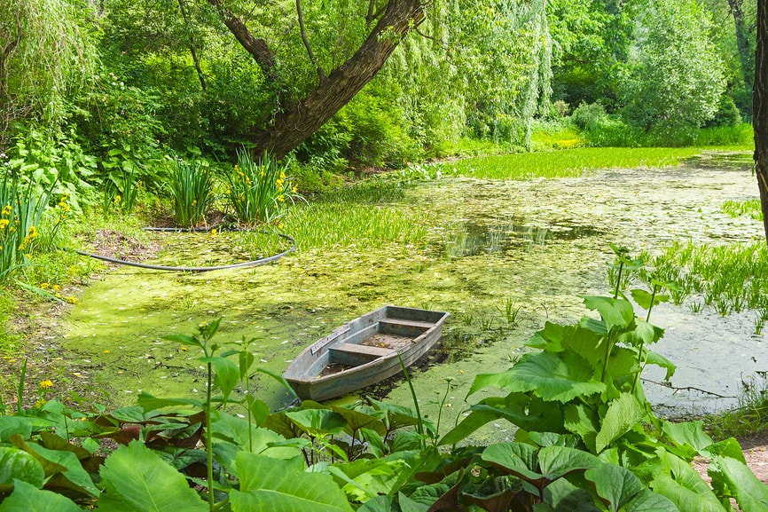 Apothecary Garden